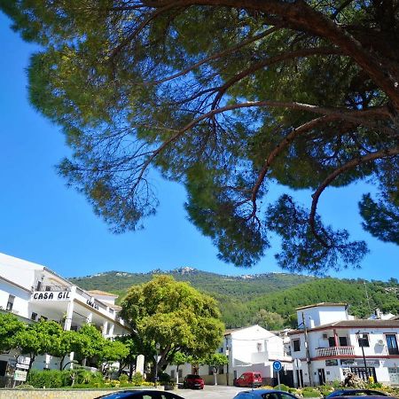 Pension Venta Julian Hca01134 El Bosque Esterno foto