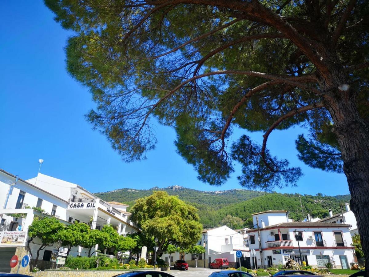 Pension Venta Julian Hca01134 El Bosque Esterno foto